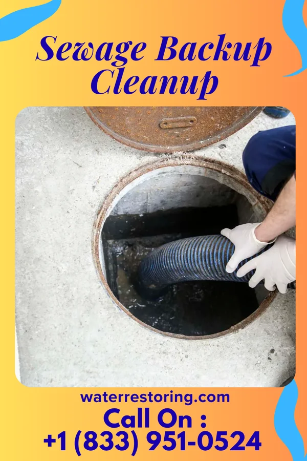 Sewage Backup Cleanup in Altoona, AL